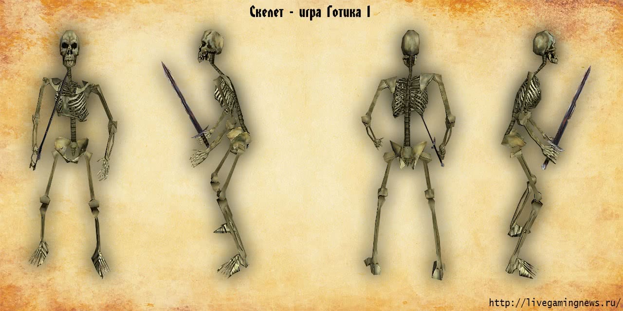 Скелет – низшая форма нежити из игры Готика 1, вид справа, слева, спереди, сзади