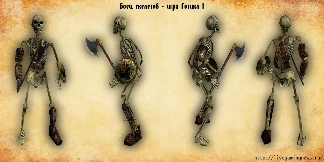 Боец скелетов из Готики 1 во всех ракурсах, вид спереди, сзади, справа, слева