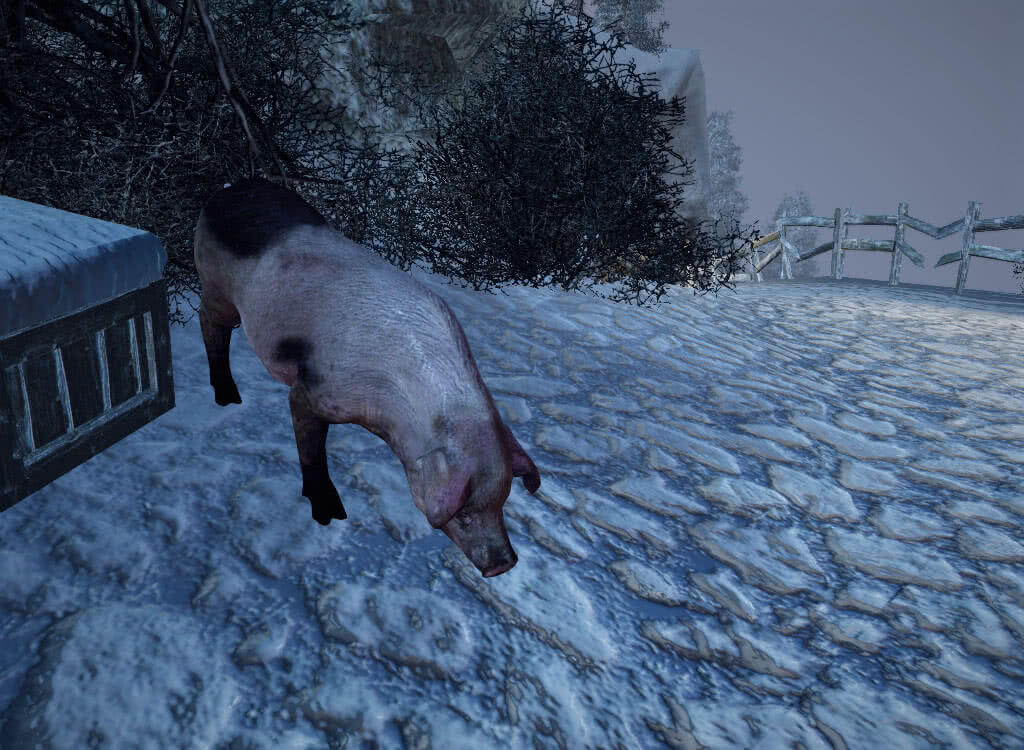 Свинья ест снег - игра Готика 3