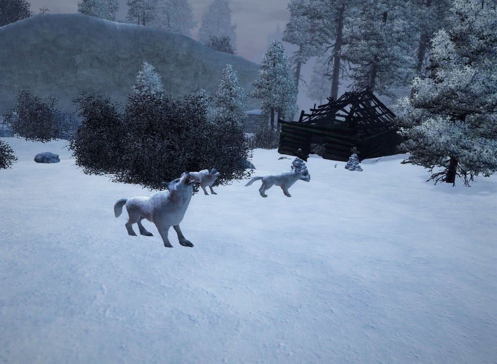 Снежные волки - игра Готика 3